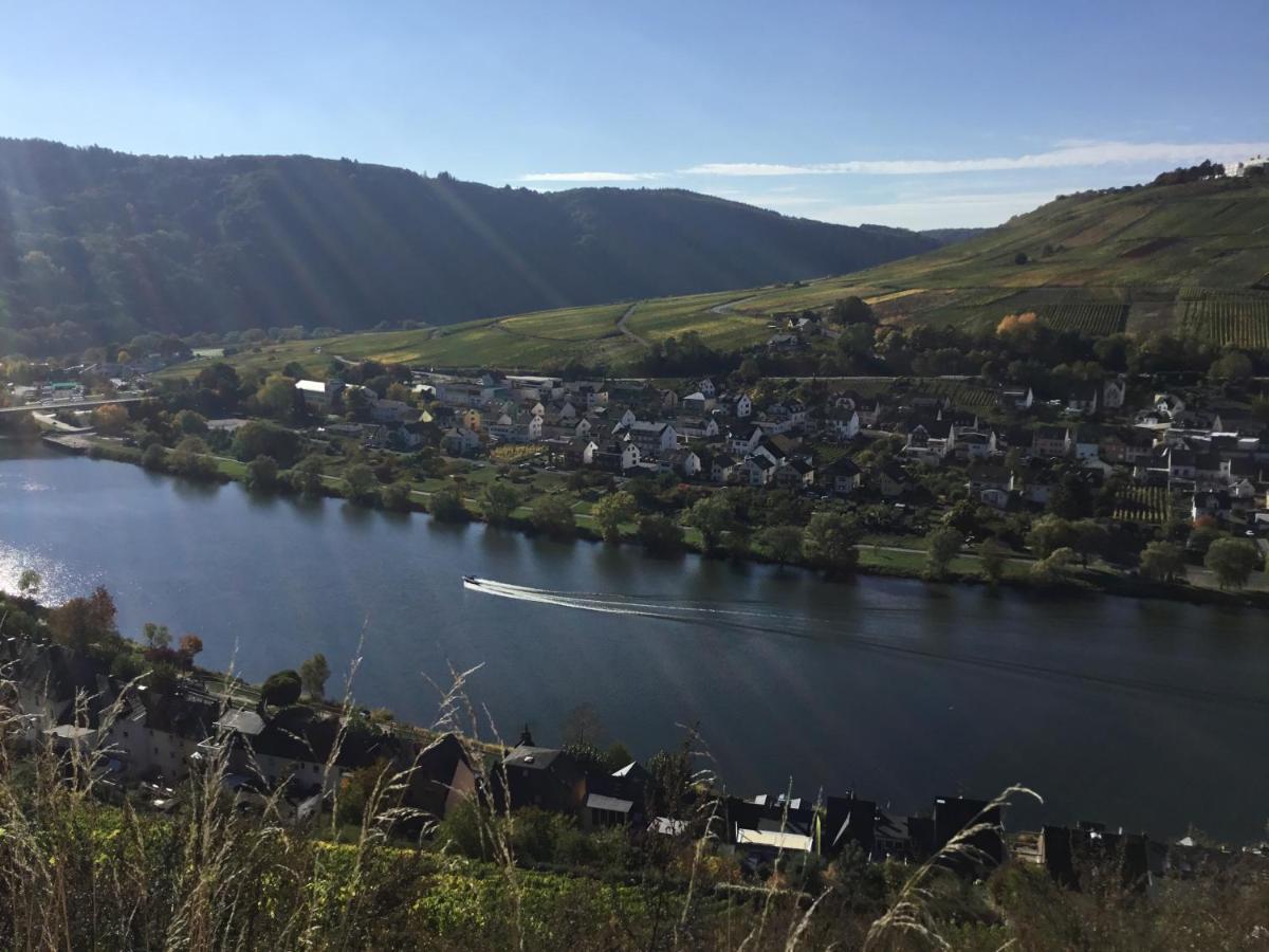 Mosel-Appartements Nehren Целль-ан-дер-Мозель Экстерьер фото