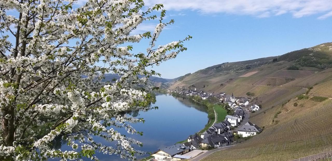 Mosel-Appartements Nehren Целль-ан-дер-Мозель Экстерьер фото
