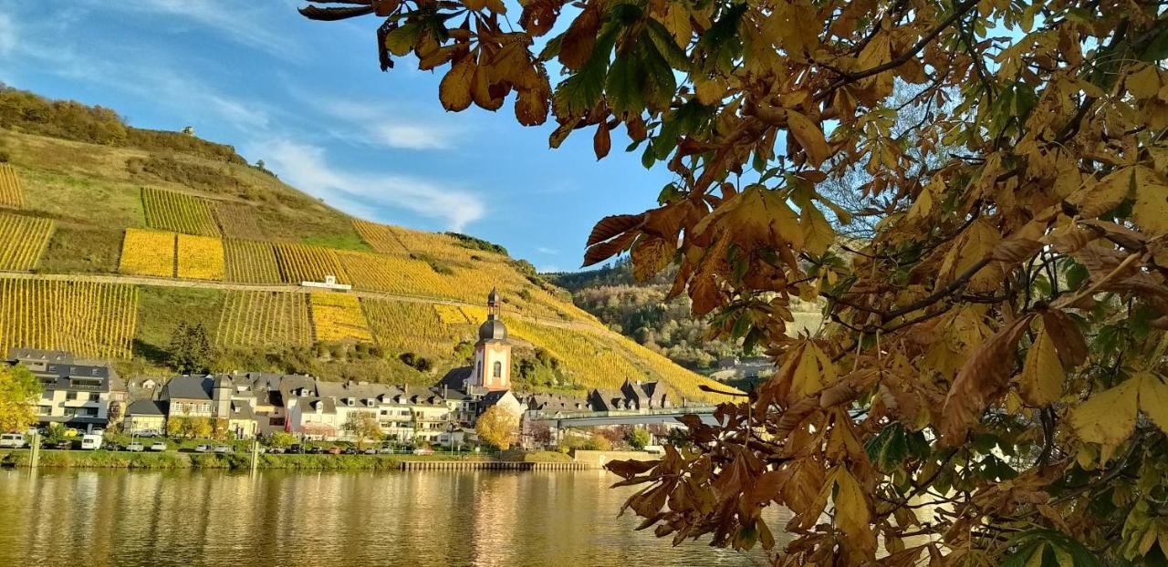 Mosel-Appartements Nehren Целль-ан-дер-Мозель Экстерьер фото